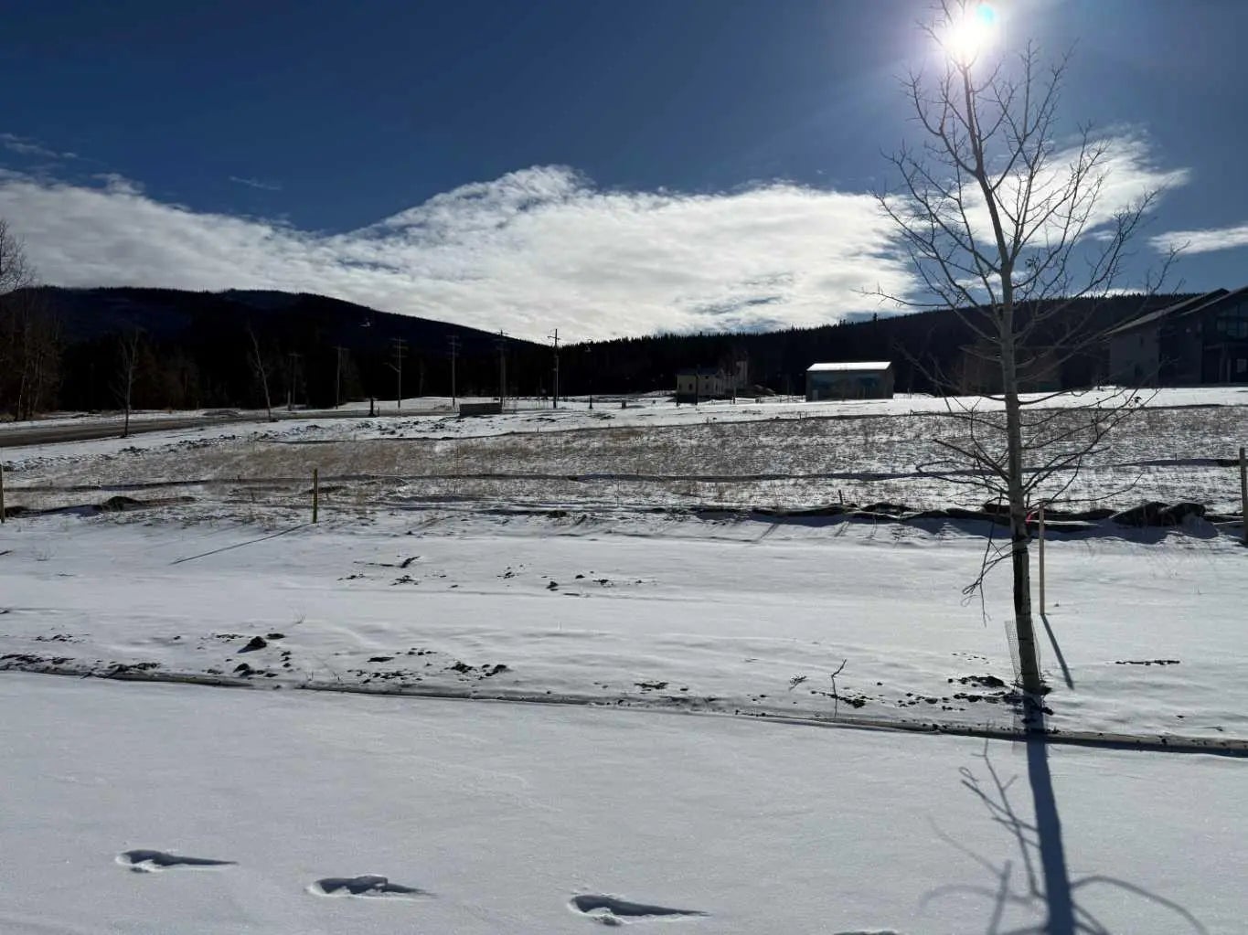 Photo of Listing #A2289631