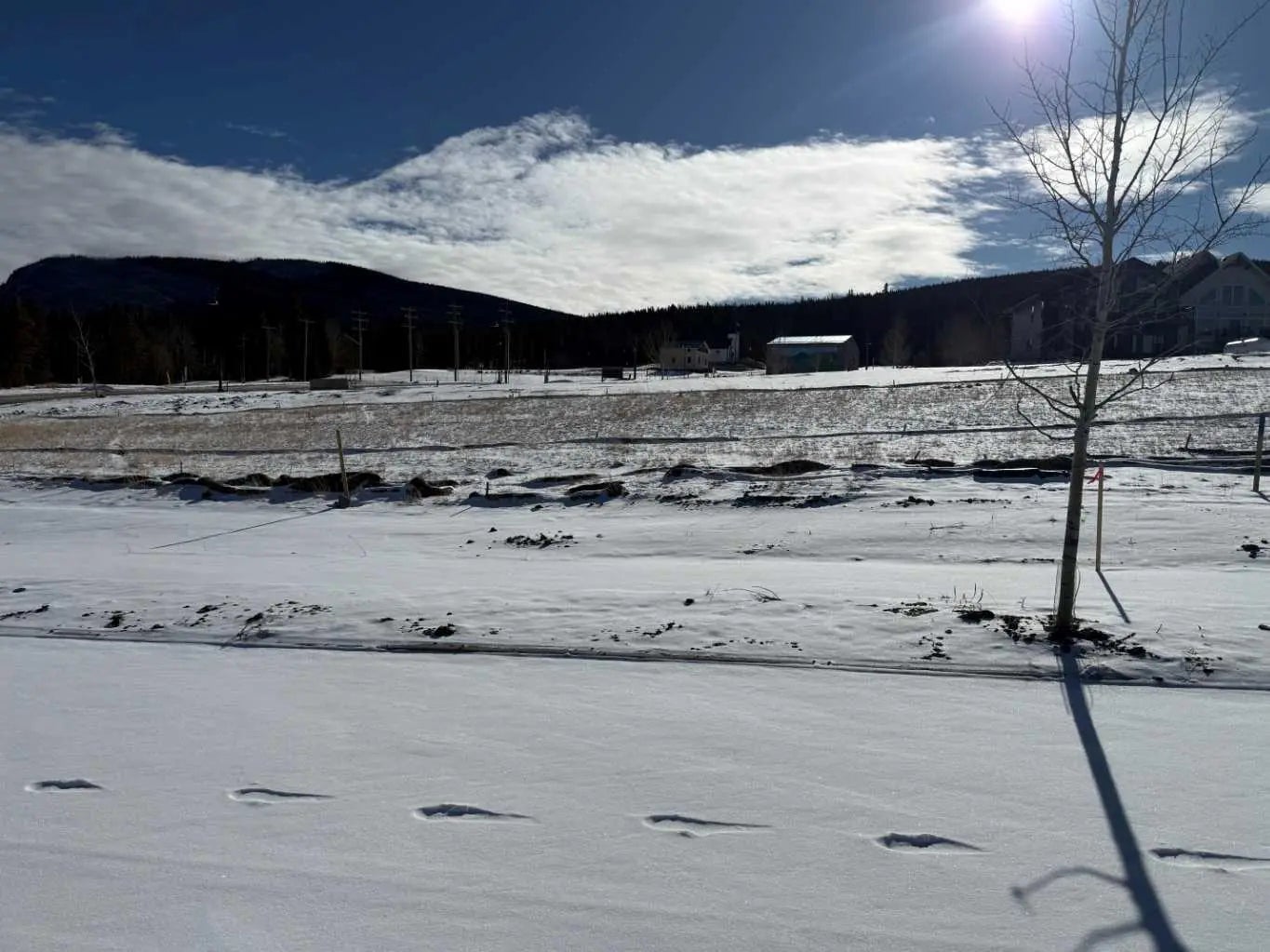 Photo of Listing #A2289635