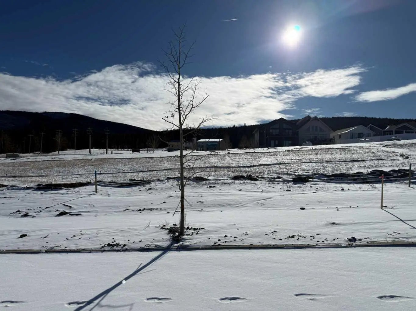 Photo of Listing #A2289639