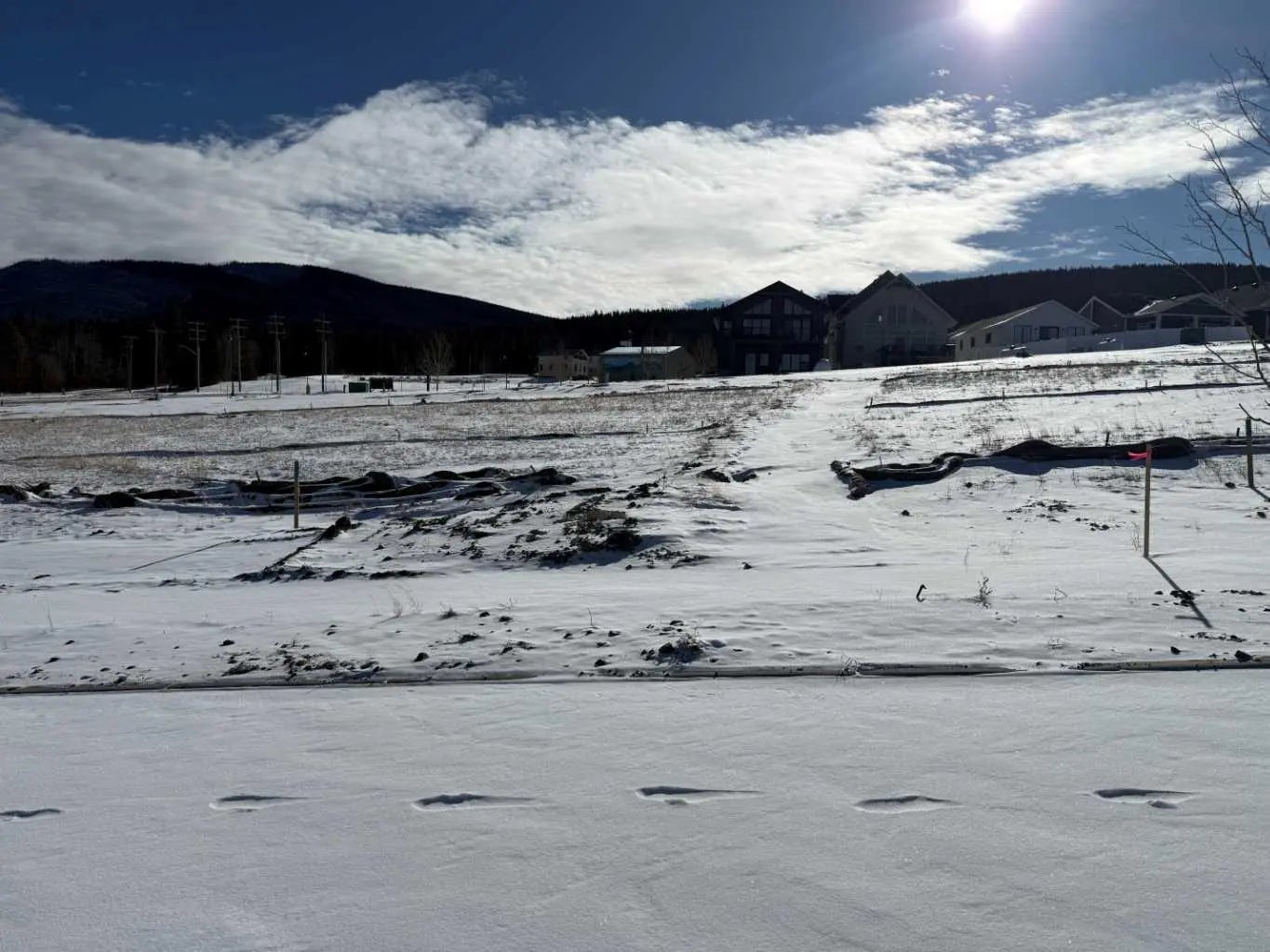 Photo of Listing #A2289642