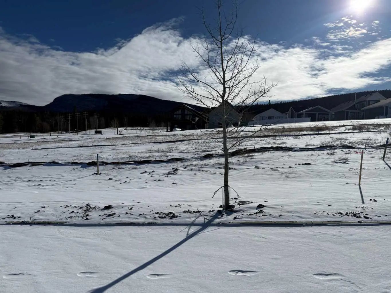 Photo of Listing #A2289645