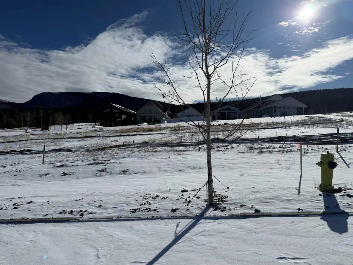 Photo of Listing #A2289647