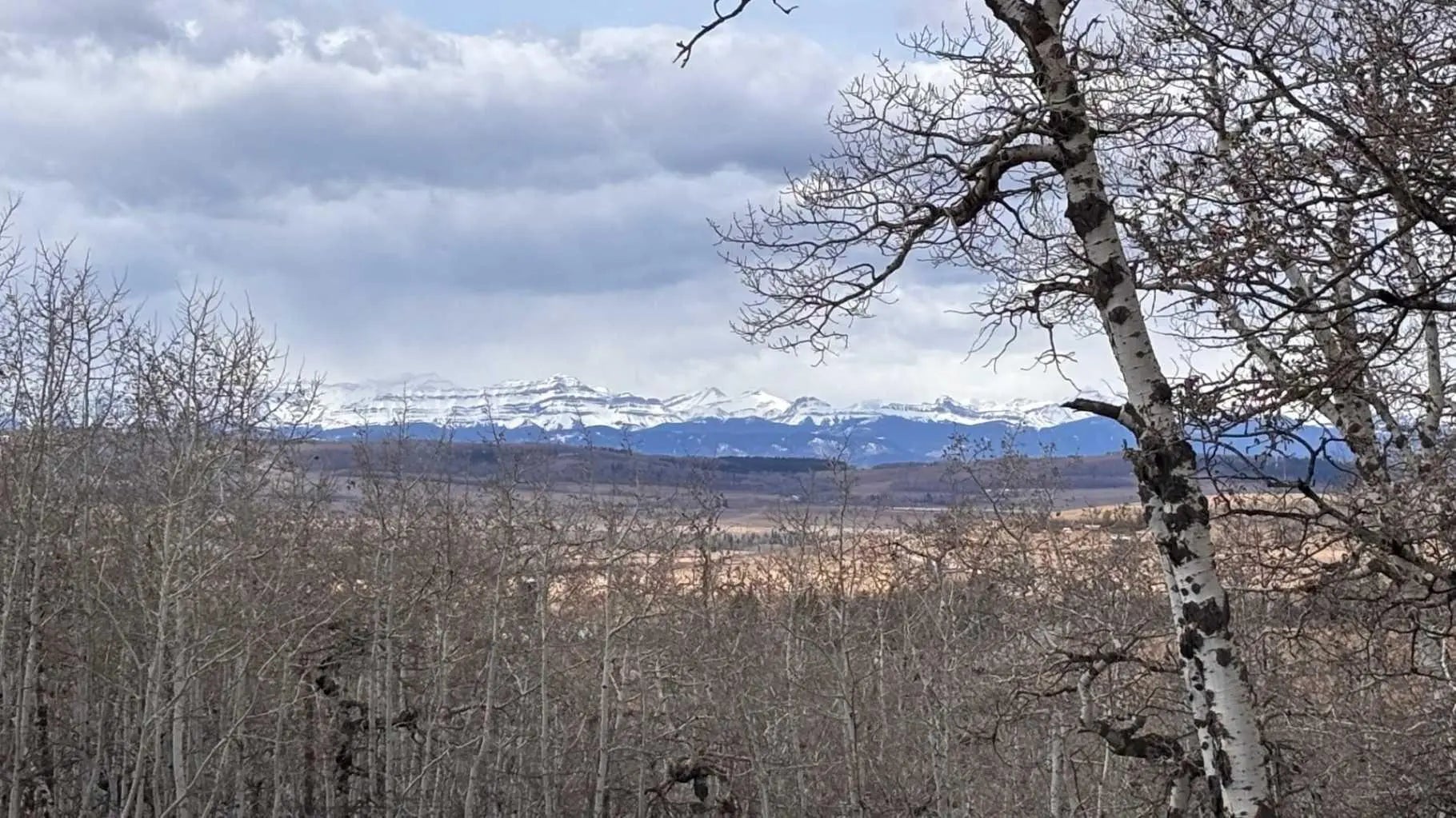 Photo of Listing #A2289659