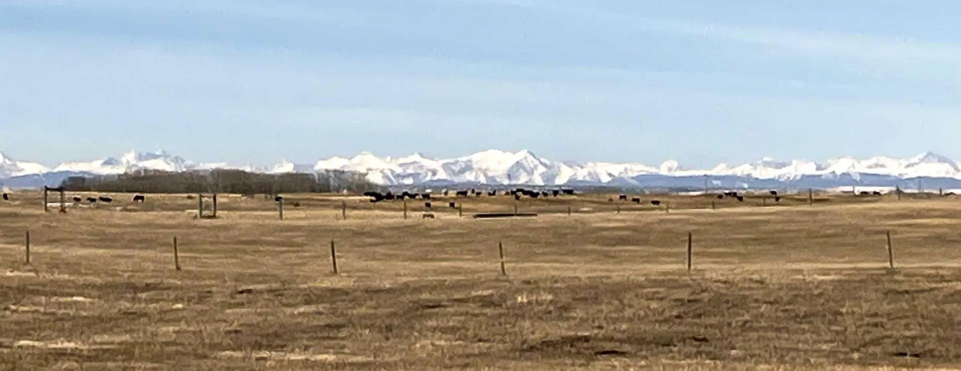 78 Acres Township Road 270  , Rural Rocky View County – Land Residential Land Listing Photo 4