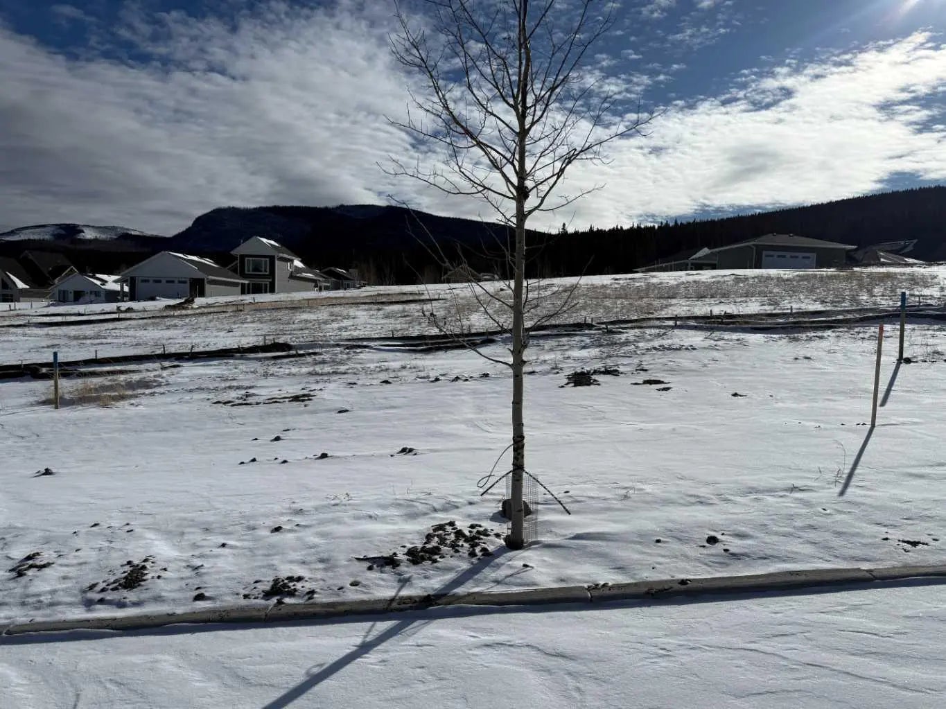 Photo of Listing #A2289688