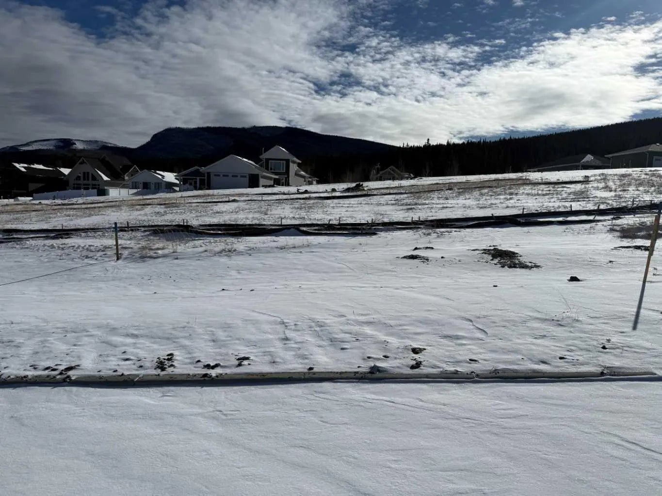 Photo of Listing #A2289691