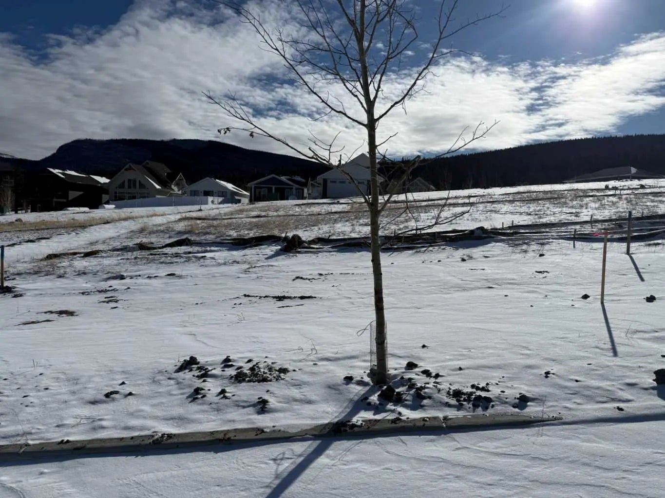 Photo of Listing #A2289693