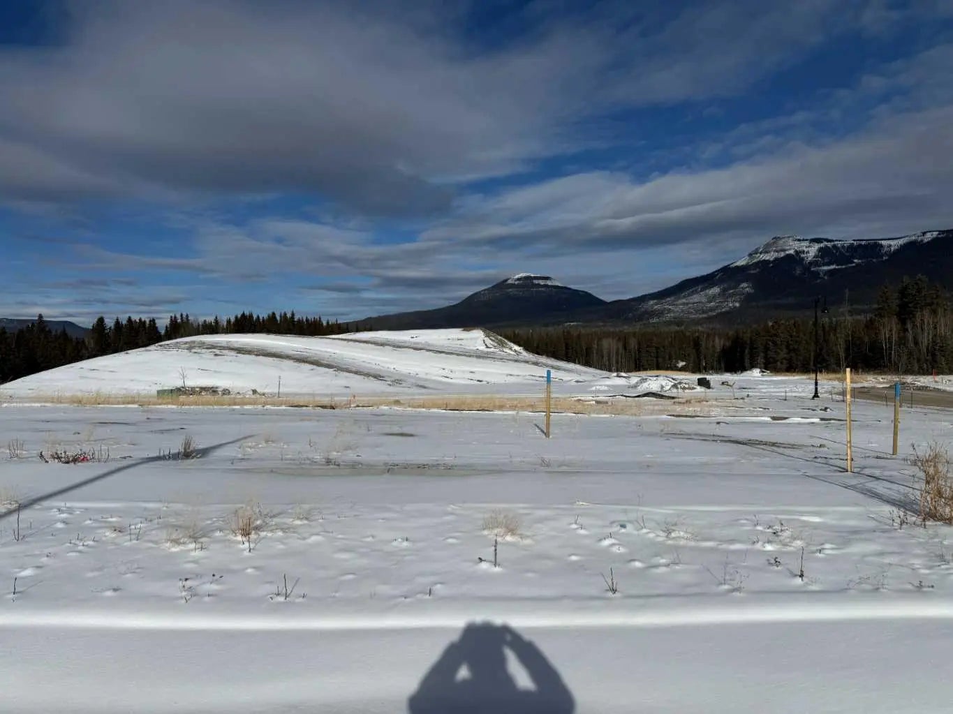 Photo of Listing #A2289698