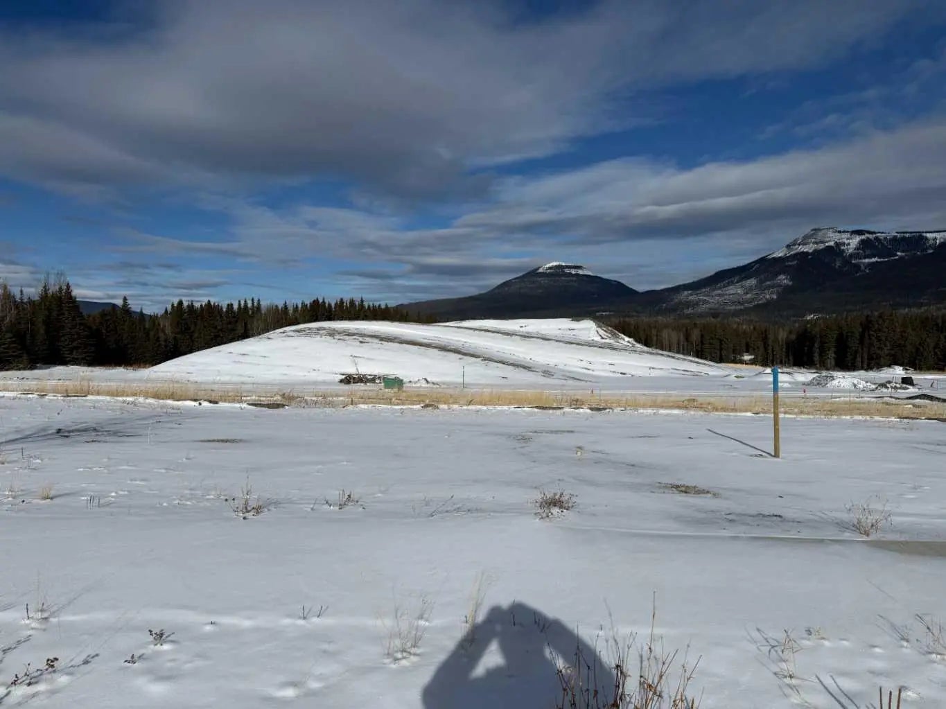 Photo of Listing #A2289702