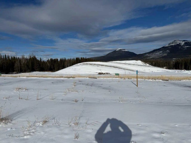 412 Lily Avenue , Nordegg