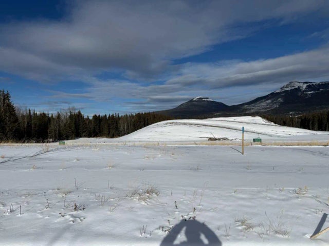 416 Lily Avenue , Nordegg