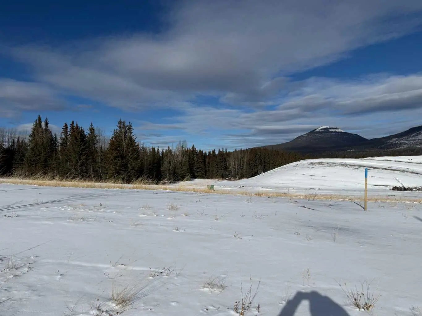 Photo of Listing #A2289772