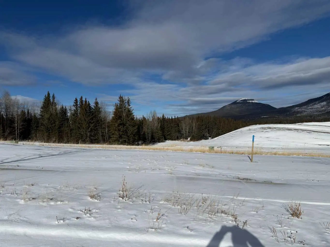 Photo of Listing #A2289773