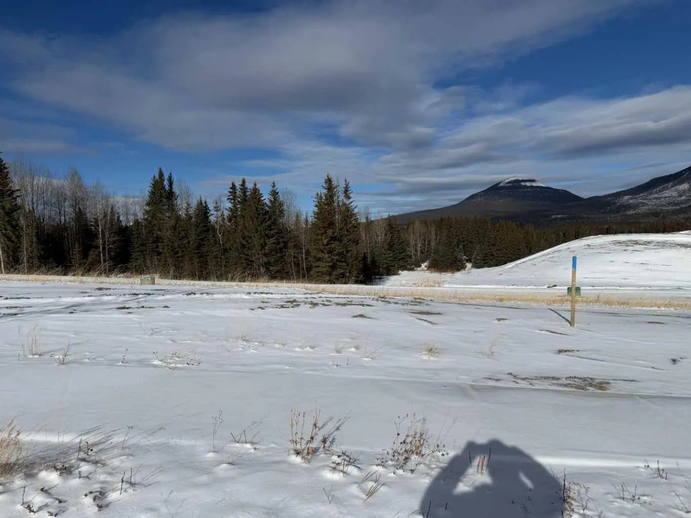 Photo of Listing #A2289776