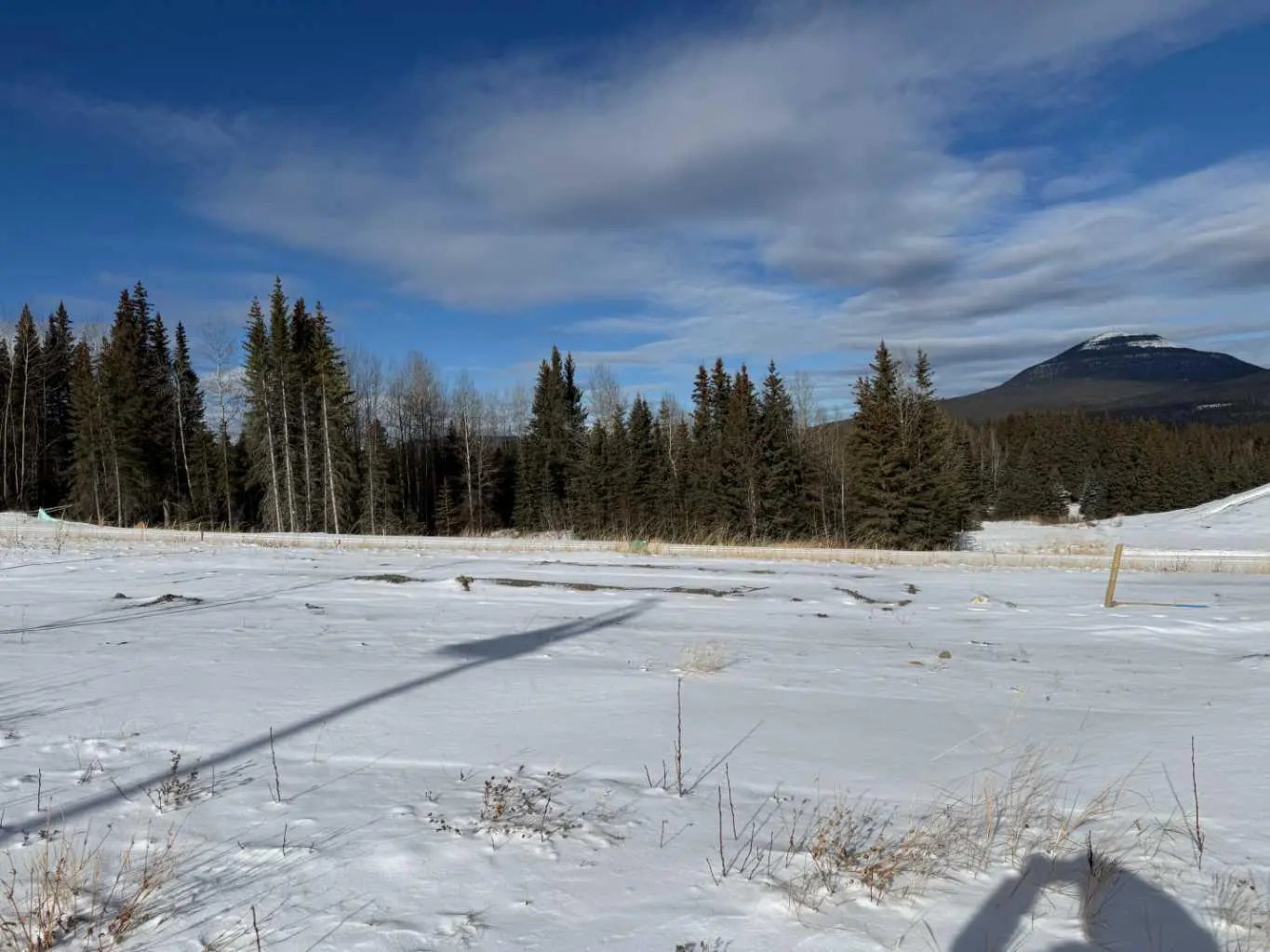 Photo of Listing #A2289778