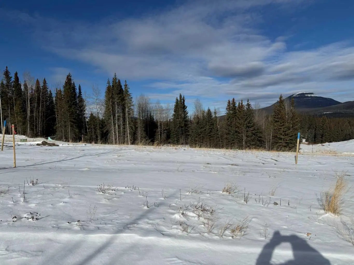 Photo of Listing #A2289779