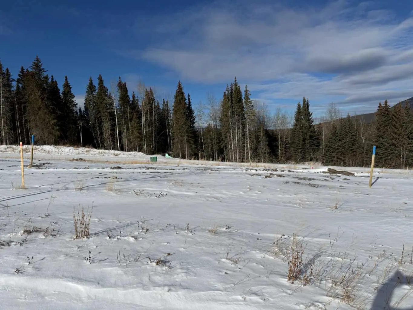 Photo of Listing #A2289781