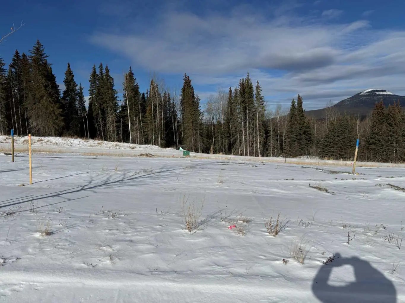 Photo of Listing #A2289783