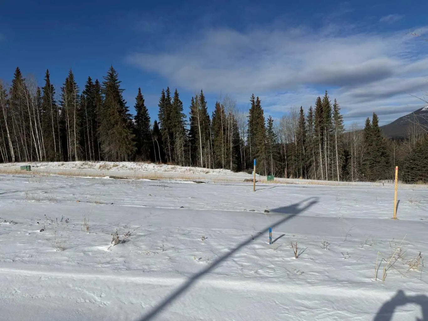 Photo of Listing #A2289785