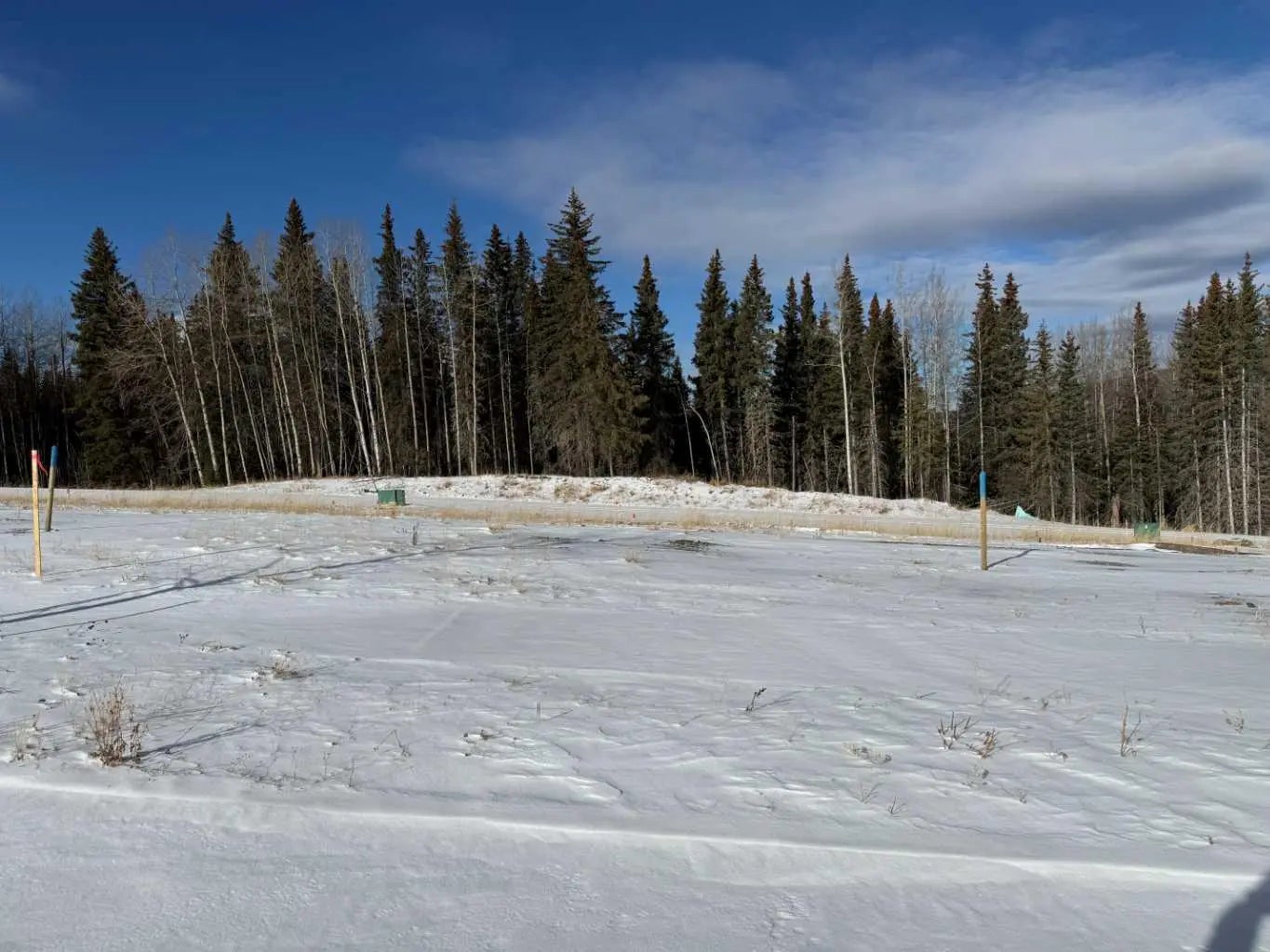 Photo of Listing #A2289787