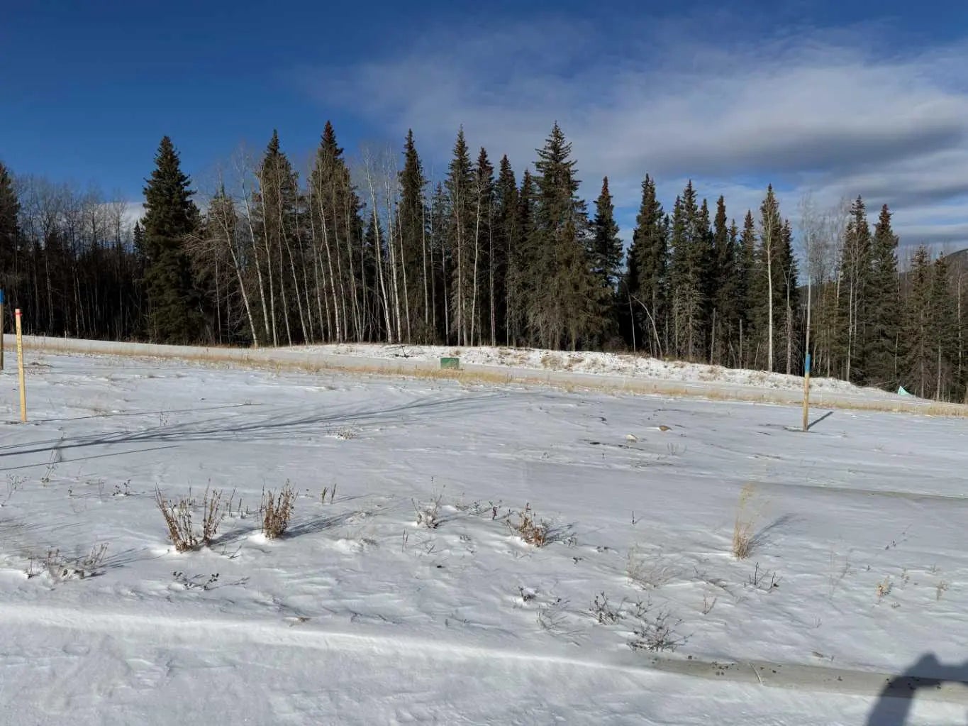 Photo of Listing #A2289788