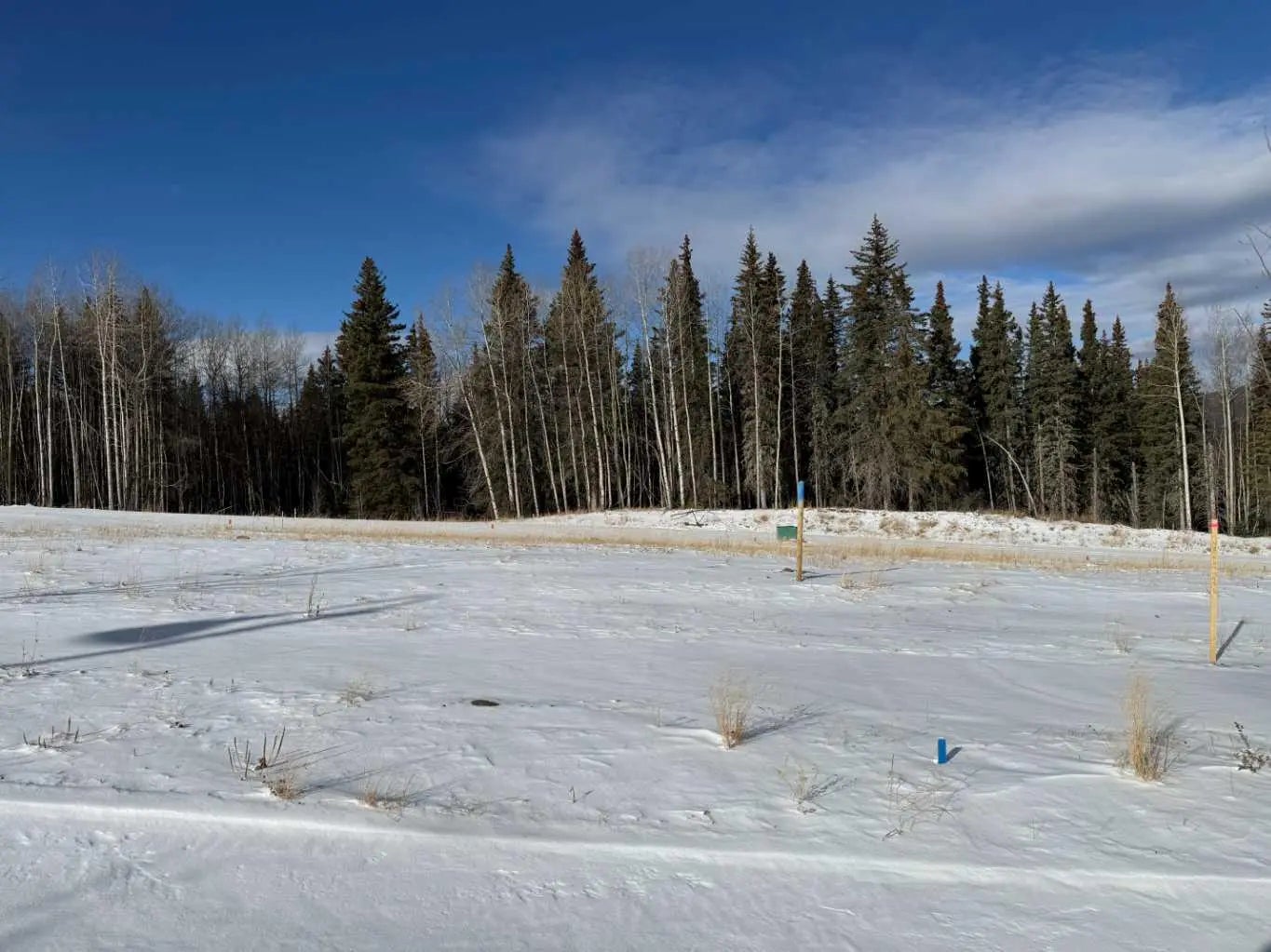 Photo of Listing #A2289789