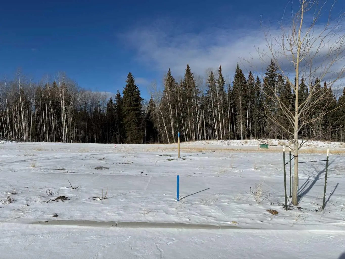 Photo of Listing #A2289796