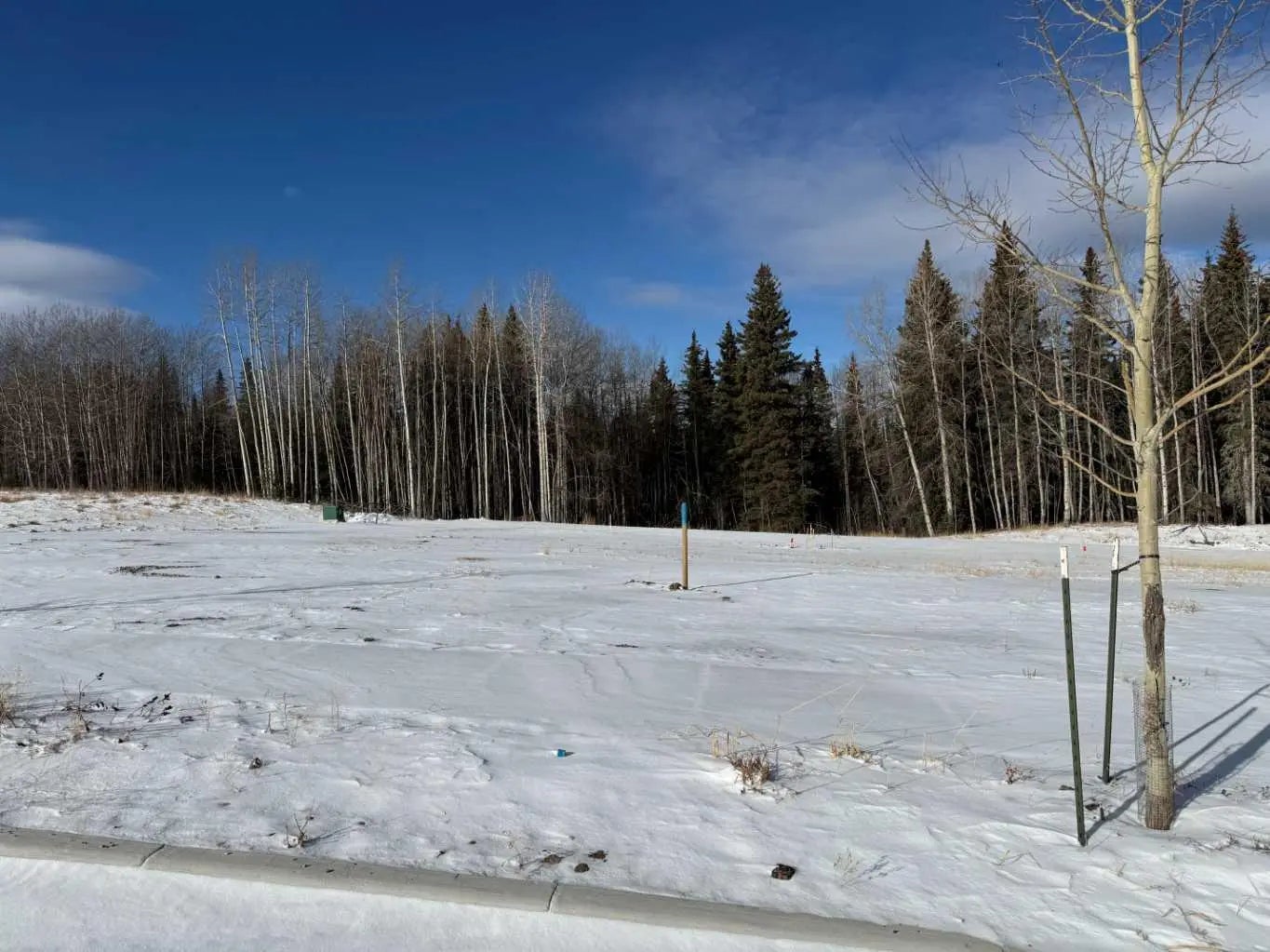 Photo of Listing #A2289798