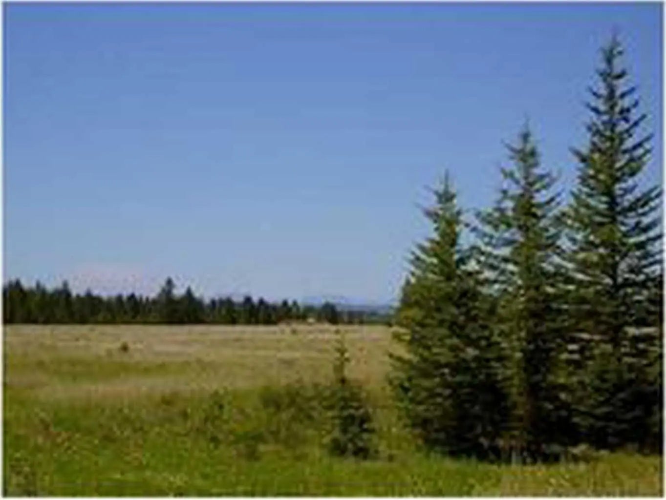 Photo of Listing #A2290384