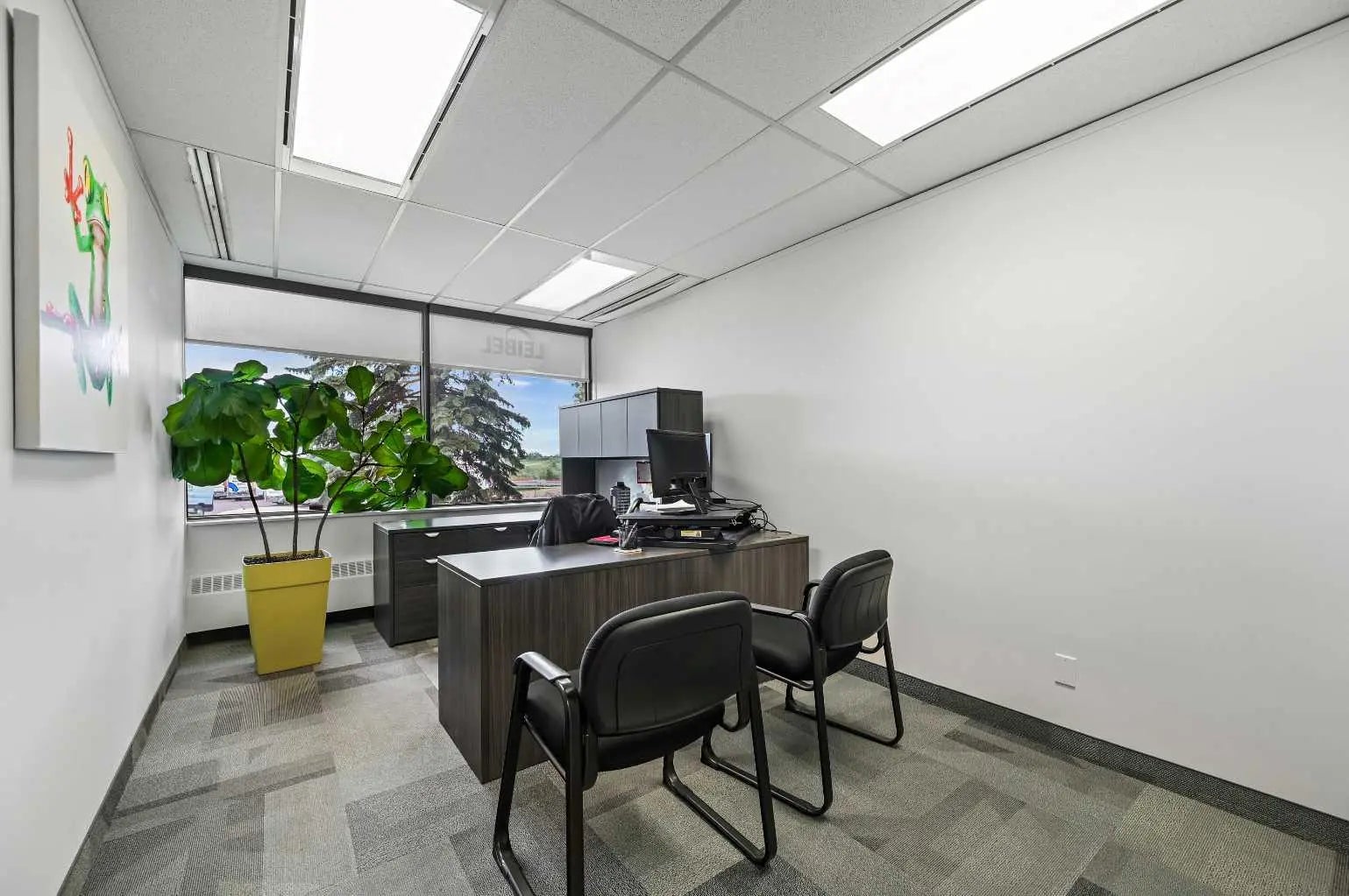 Photo of Listing #A2290430