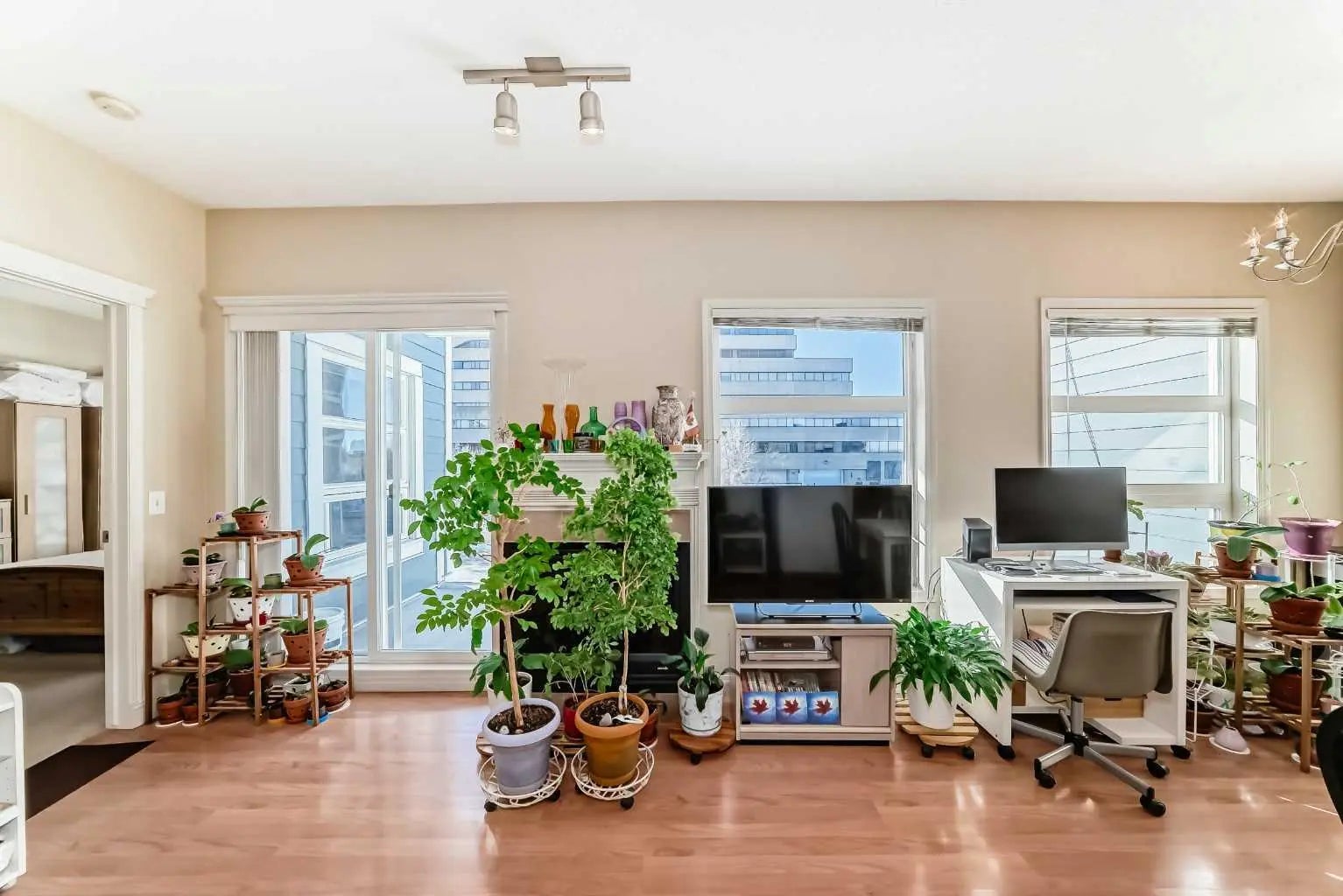 Photo of Listing #A2290880