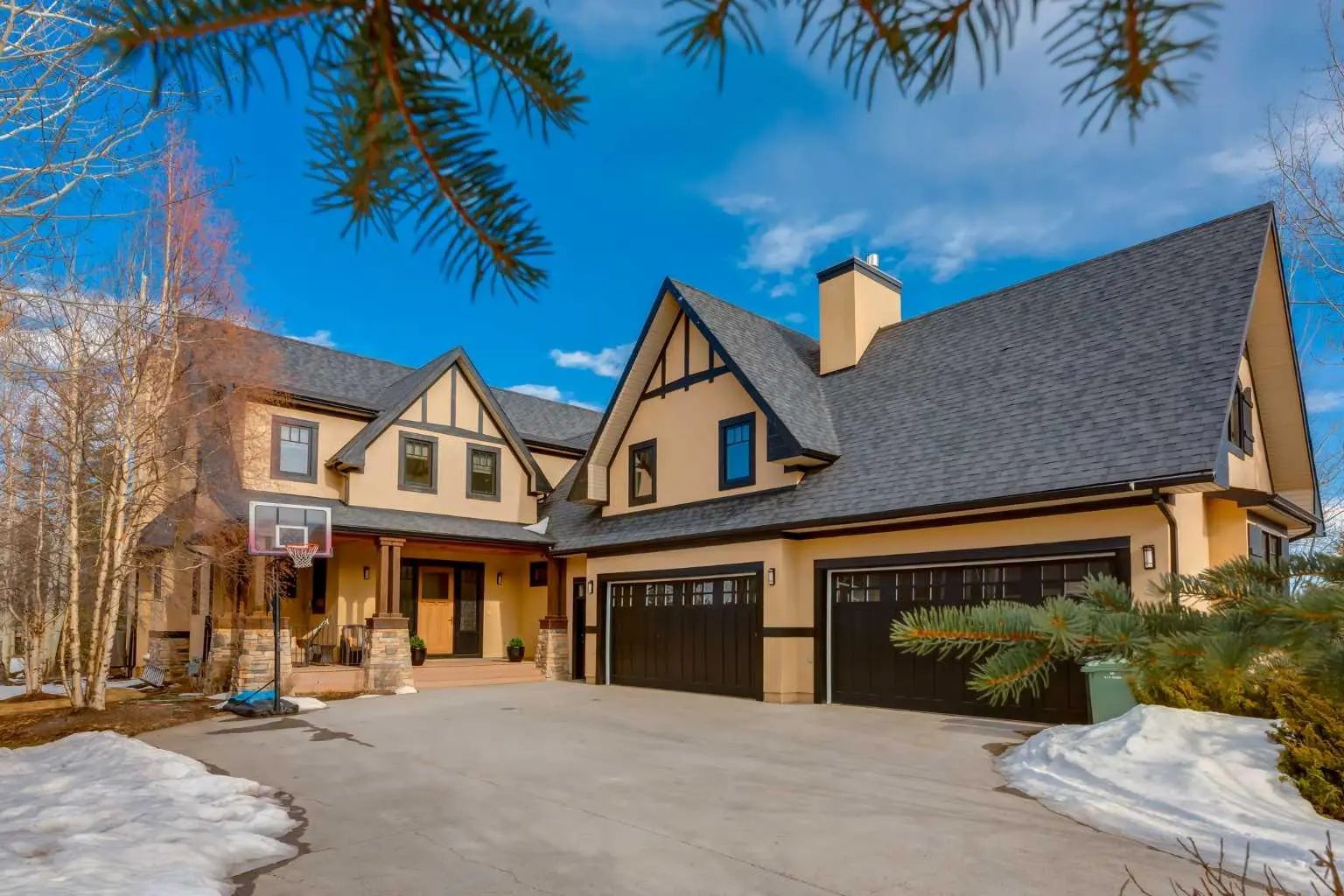 Photo of Listing #A2290896