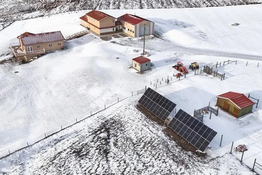 Photo of Listing #A2291216