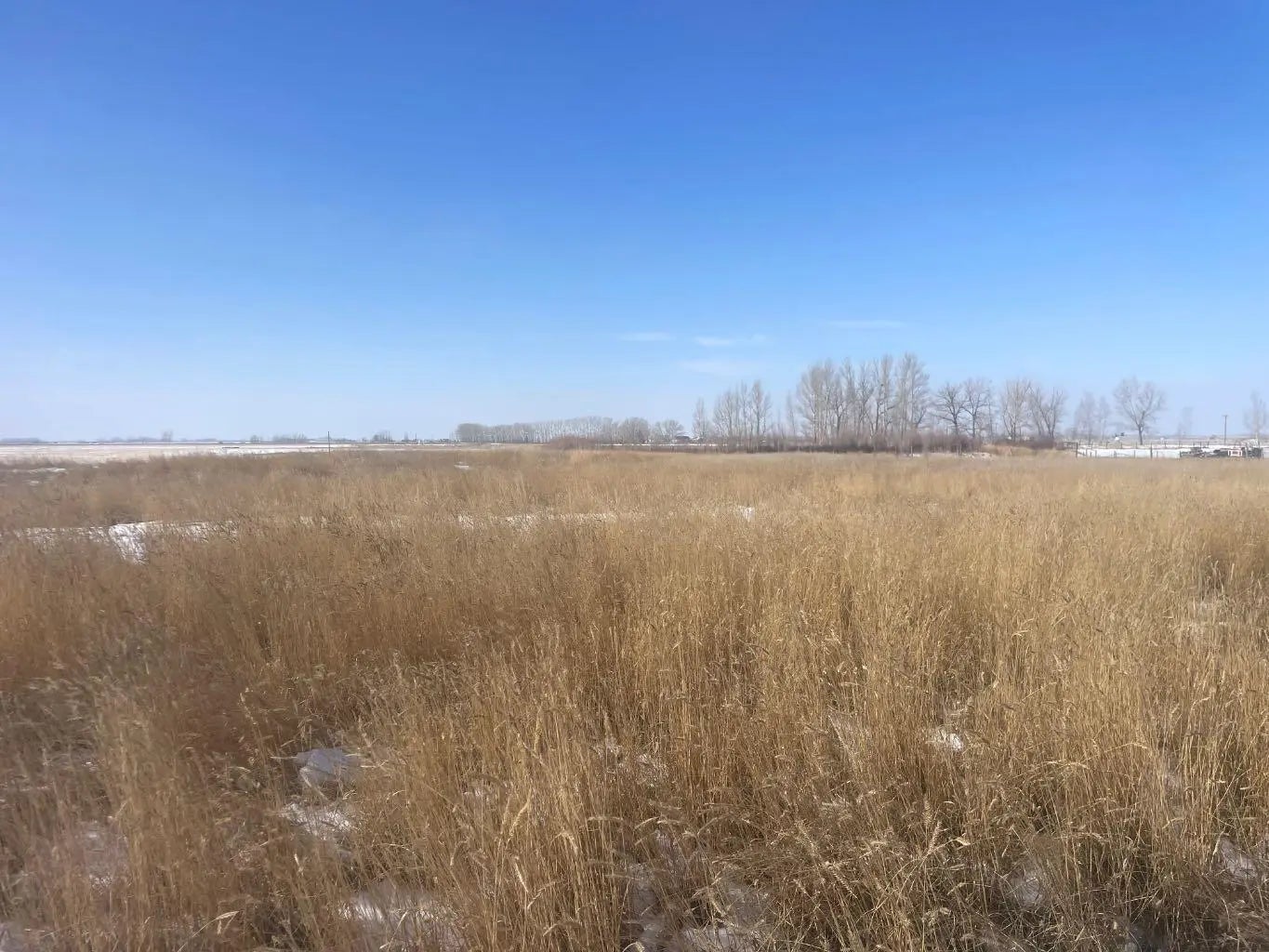 Photo of Listing #A2291604