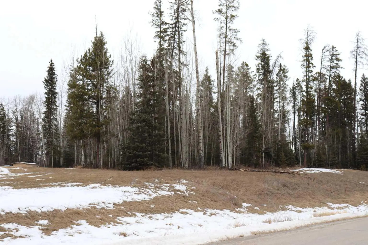 Photo of Listing #A2292065