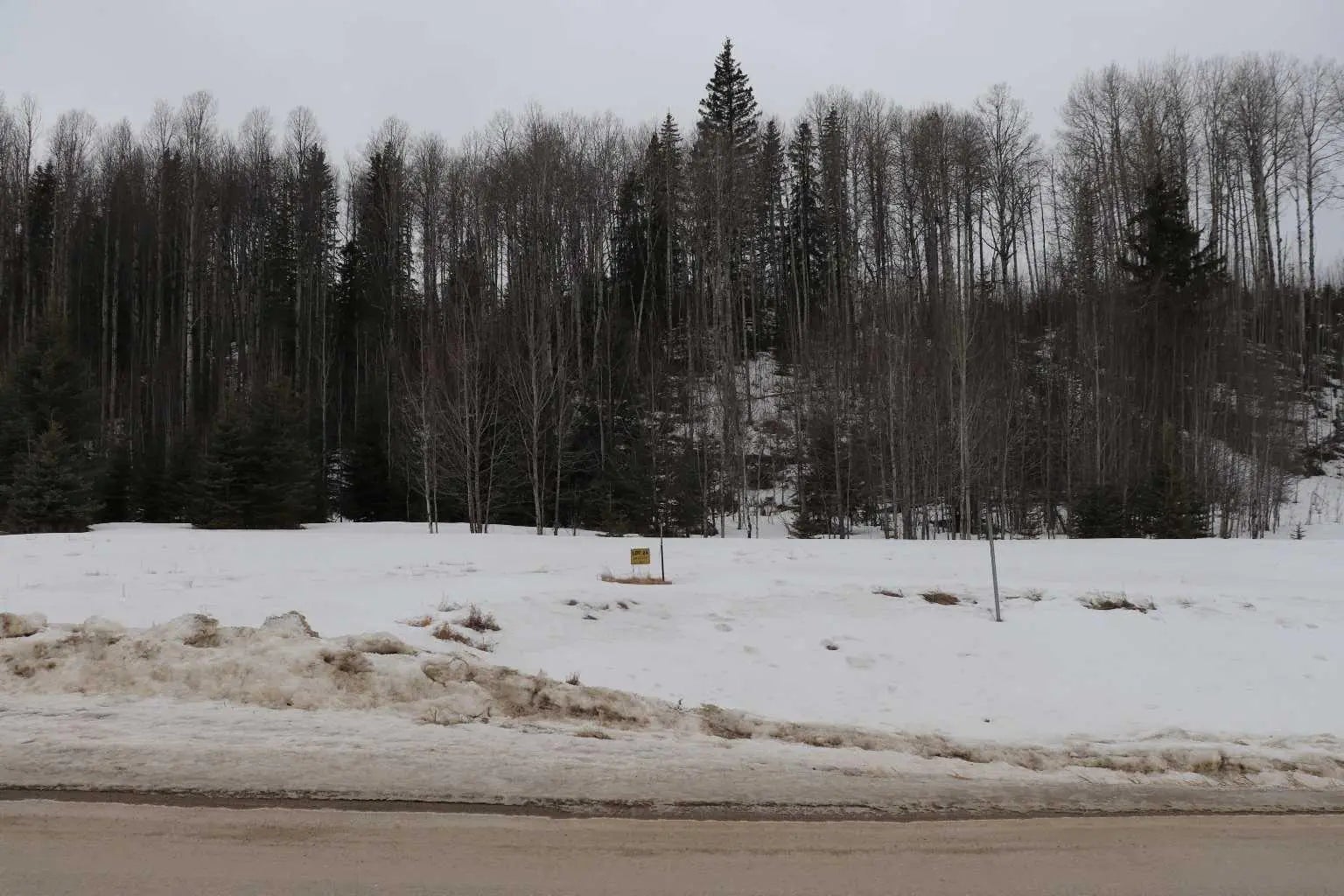 Photo of Listing #A2292102