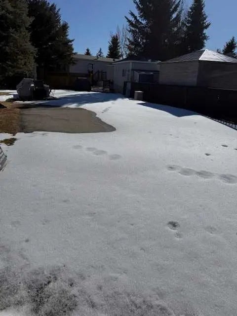 Photo of Listing #A2292257