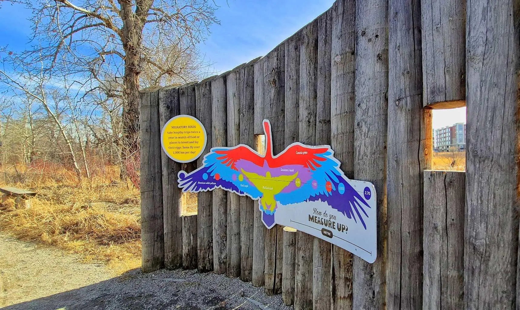 Photo of Listing #A2292501