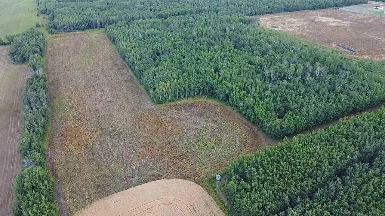 Photo of Listing #A2292681