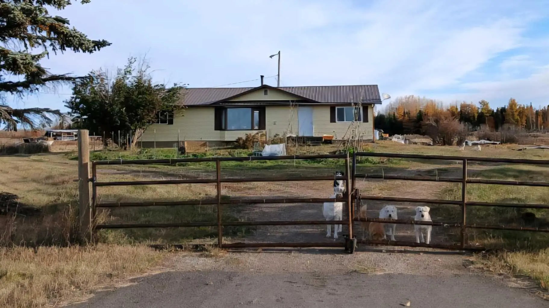 Photo of Listing #A2293249