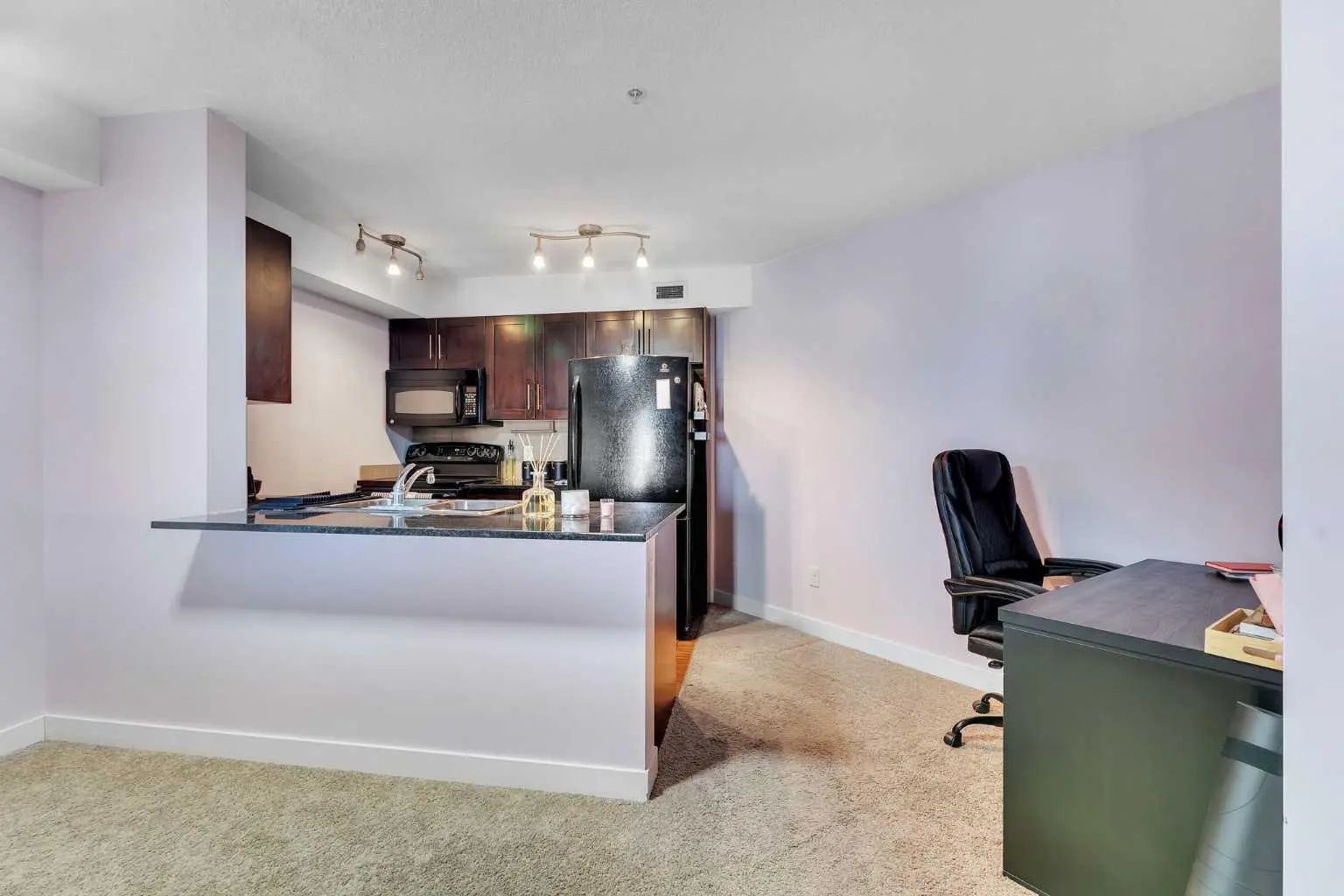 318 7210 80 Avenue Northeast, Calgary – Residential Apartment Listing Photo 14