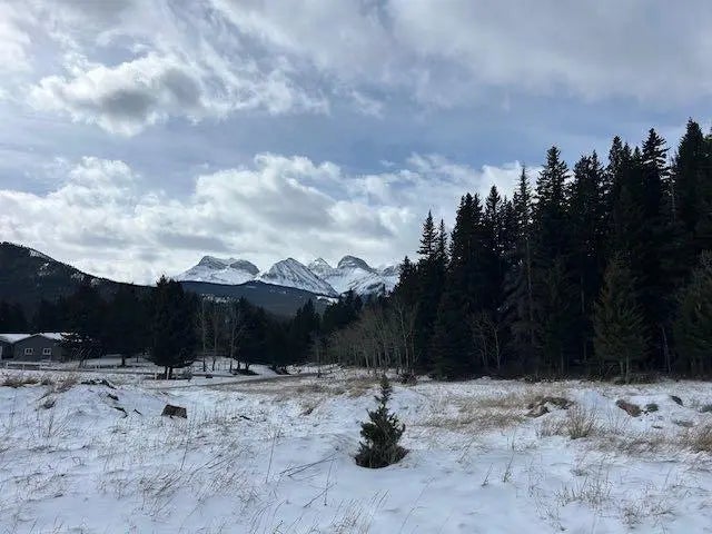 Photo of Listing #A2293351