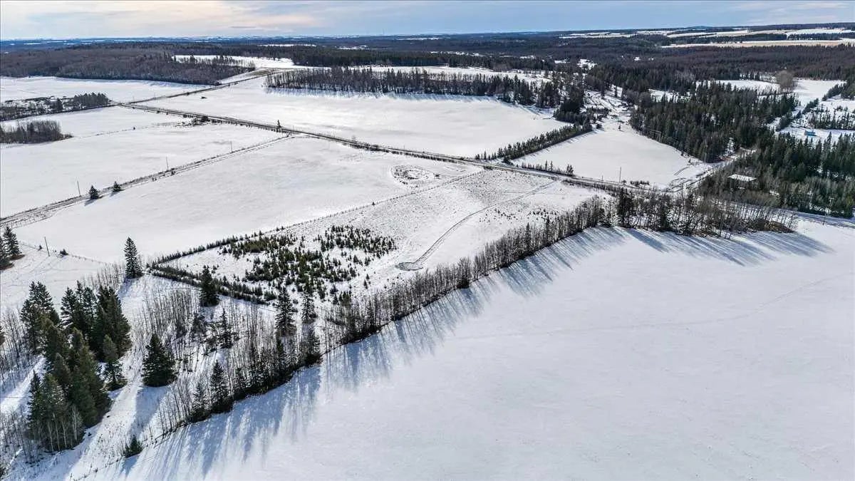 Photo of Listing #A2293984