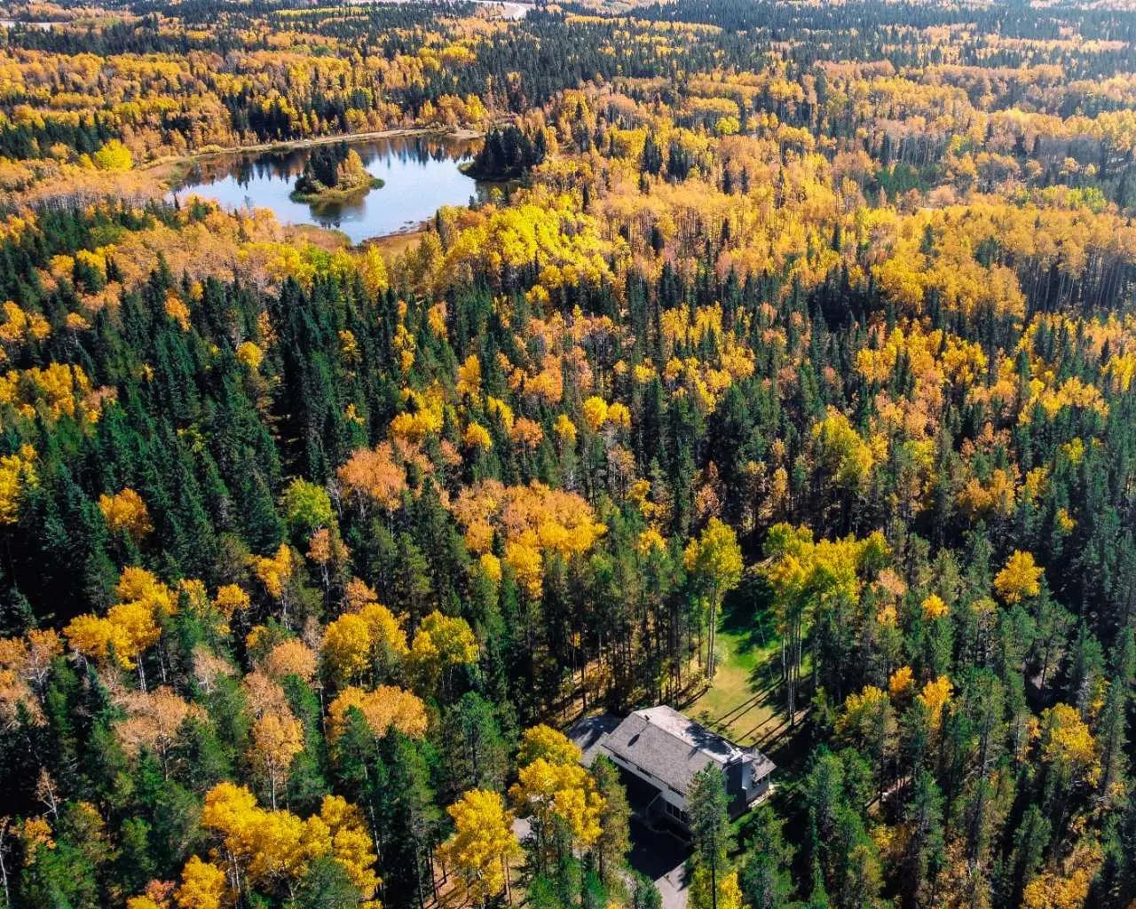 Photo of Listing #A2295240