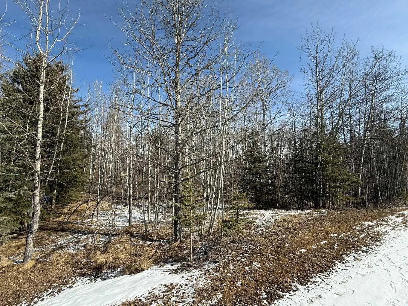 Photo of Listing #A2295520