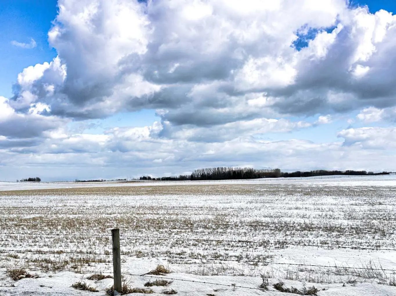 Photo of Listing #A2295654