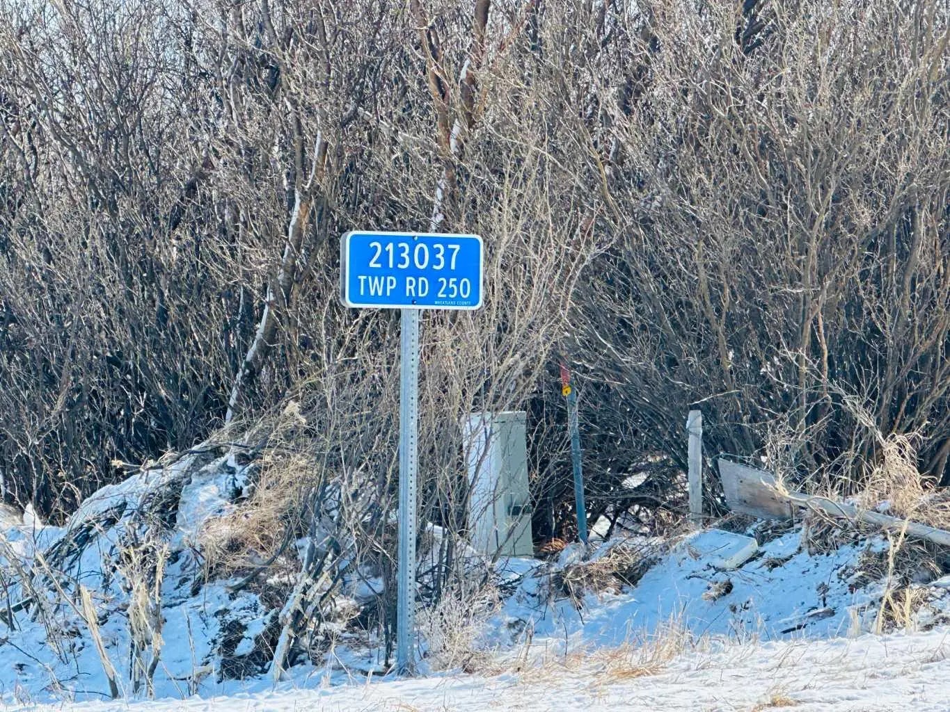 Photo of Listing #A2295719