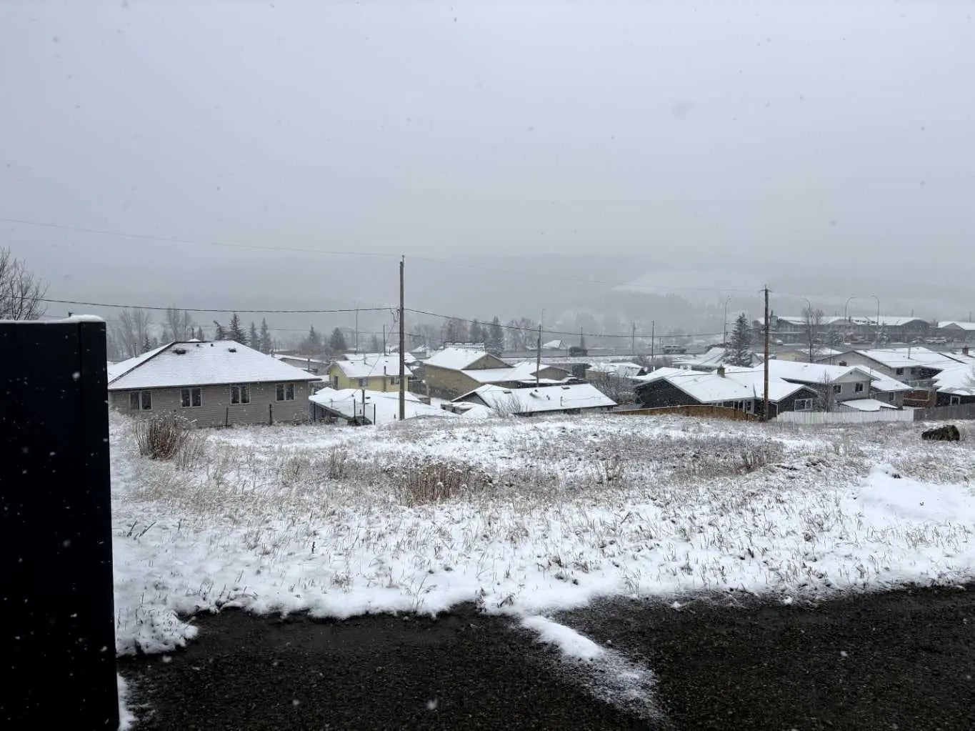 Photo of Listing #A2296280