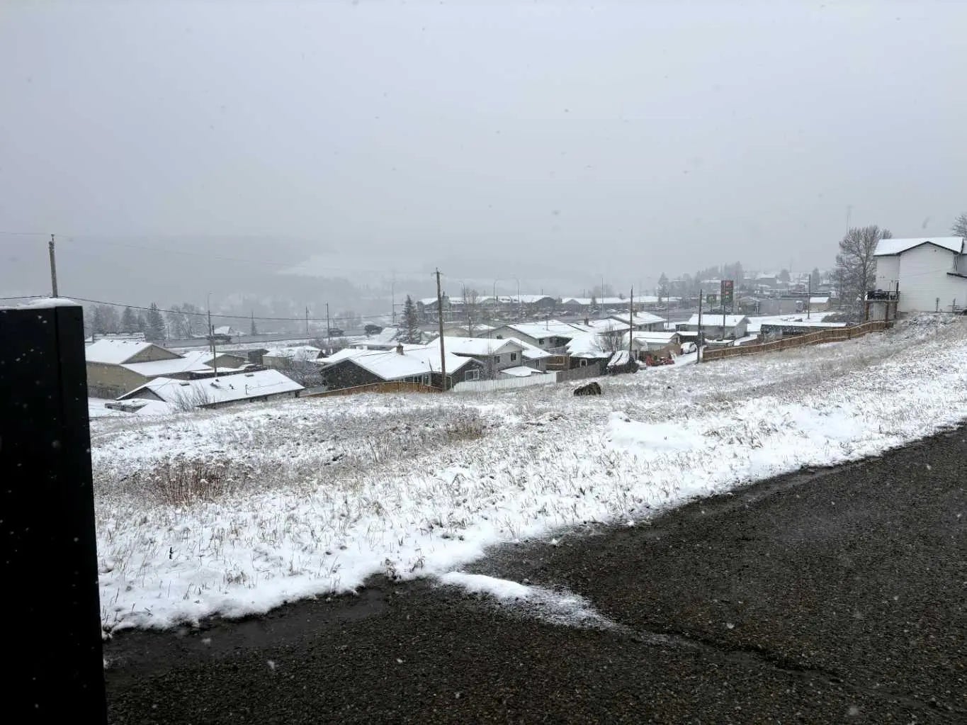 Photo of Listing #A2296285