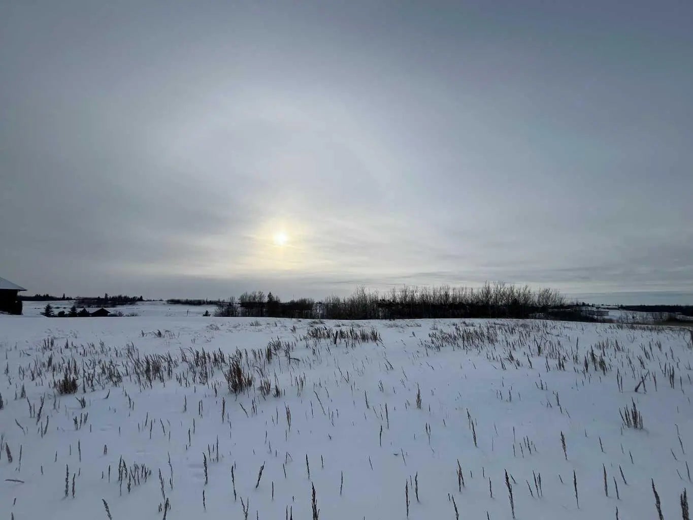 Photo of Listing #A2296310